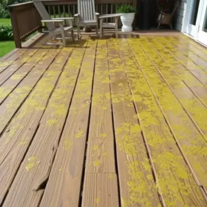 Dirty Deck in Roanoke, VA
