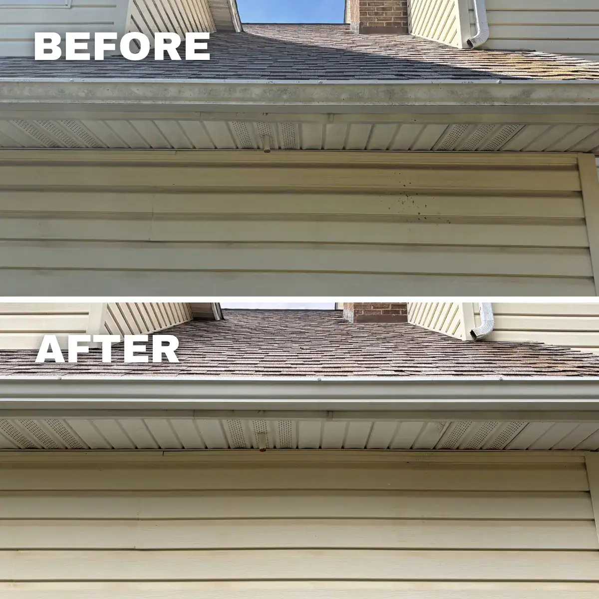 Gutter Cleaning in Salem, VA near Mill Lane.