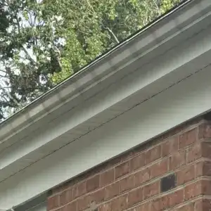 Photo displaying "Tiger Stripes" before gutter brightening in Roanoke, VA