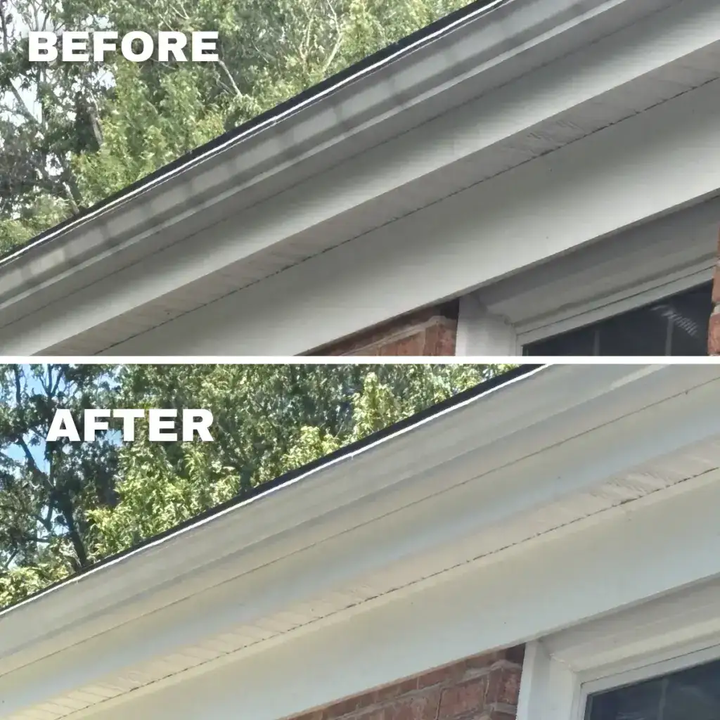 Gutter cleaning & brightening service removing tiger stripes from gutter in Roanoke, VA