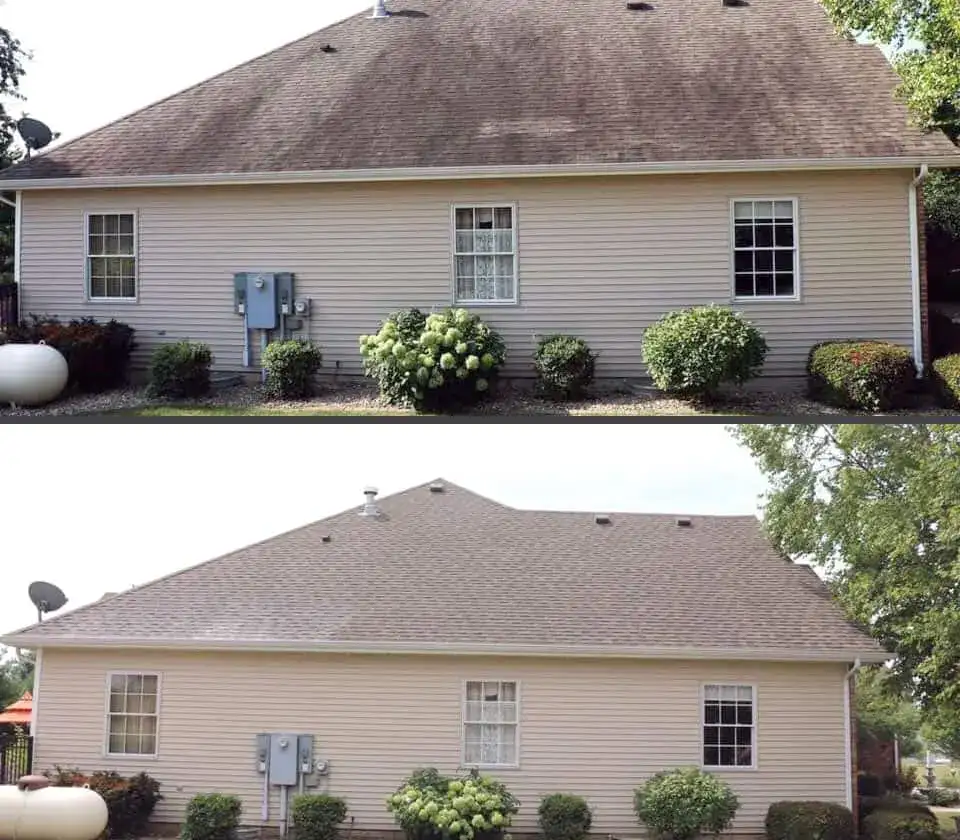 Roof cleaning shingle roof in Roanoke, VA